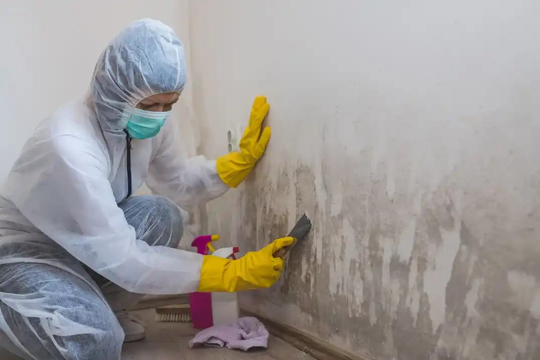 water damage restoration service Baychester